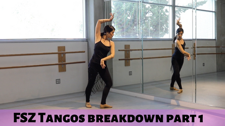 FSZ Tangos Choreography Part 1